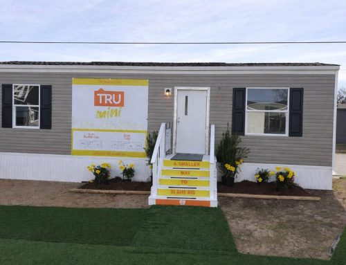 1 Bedroom 1 Bath Floor Plan: The Buttercup